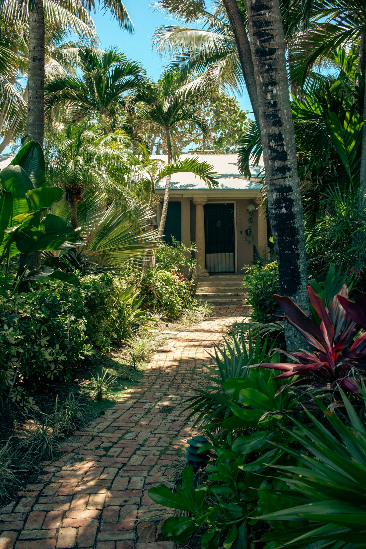 hb-palm-house גינה עם דקלים ומדשאה